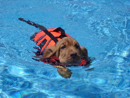 Heather Olympic Swimmer